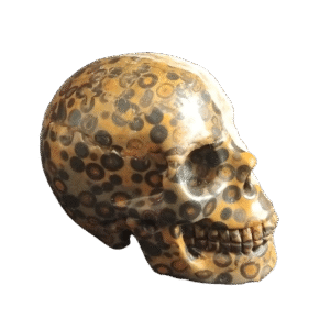 Leopard stone 2”