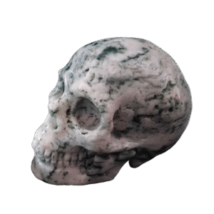 Tree Agate 2"